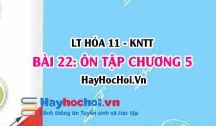 Ôn tập chương 5: Dẫn xuất halogen, Alcohol, Phenol? Hóa 11 bài 22 KNTT (Kết nối tri thức)